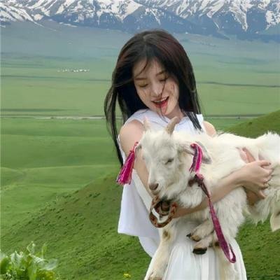我的温尼伯 海报